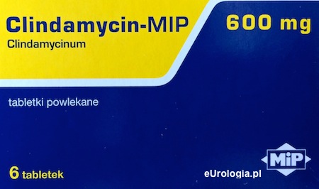ClindamycinMIP600 - ulotka